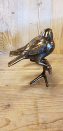 3 VOGELS OP TAK