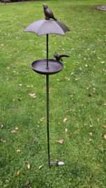 VOGELSCHAAL MET DAK
