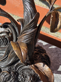 TAK MET PIMPELMEES EN KOOLMEES