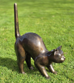 GROTE POES DIE SCHRIKT