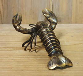 KREEFT  / 25 CM
