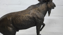 ELAND