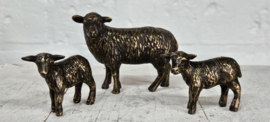 SCHAAP MET 2 LAMMETJES