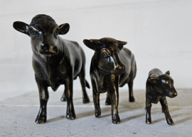 STIER , KOE EN KALF / SETPRIJS