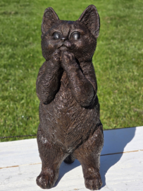 POES / KAT / KITTEN