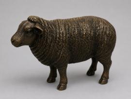 SCHAAP