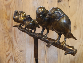 5 VOGELS OP TAK  / FAMILIE