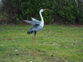 REIGER MET VLEUGELS WIJD