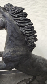 STEIGEREND PAARD