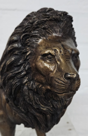 LEEUW