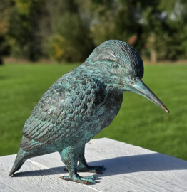 IJSVOGEL