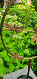 CIRKEL MET LIBELLE