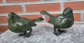 SETJE MUSSEN / GROEN