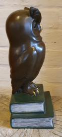 WIJZE UIL
