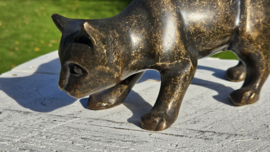 BRONZEN BRUINE POES