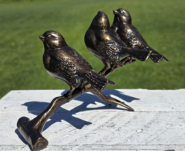 3 VOGELS OP TAK