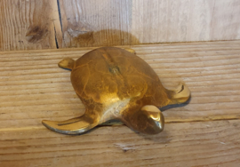 SCHILDPAD