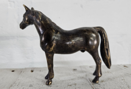 PAARD