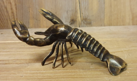 KREEFT  / 25 CM