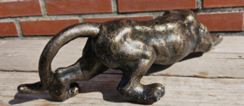 PANTER