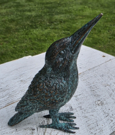 IJSVOGEL