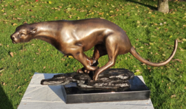 JACHTLUIPAARD / CHEETAH