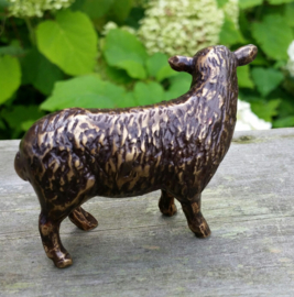 SCHAAP
