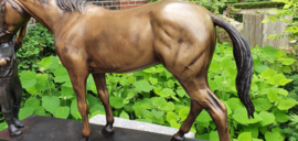 MEISJE MET PAARD