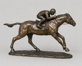 JOCKEY MET PAARD
