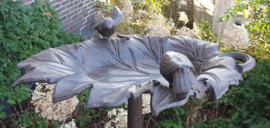 VOGELDRINKSCHAAL