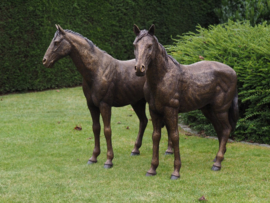 SET PAARDEN