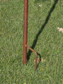 VOGELVERSCHRIKKER / MEISJE