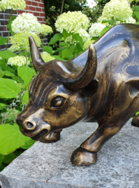 WALL STREET STIER