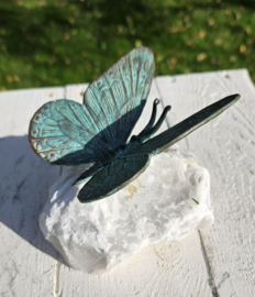 VLINDER OP NATUURSTEEN