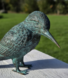 IJSVOGEL