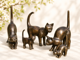 GROTE STAANDE KAT /POES