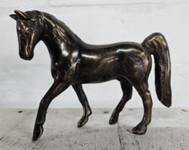 PAARD