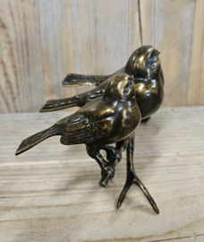 2 VOGELS MET JONG OP TAK