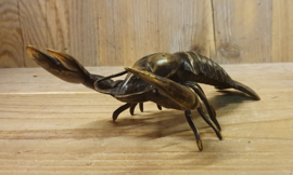 KREEFT  / 18 CM