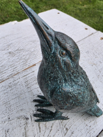 IJSVOGEL