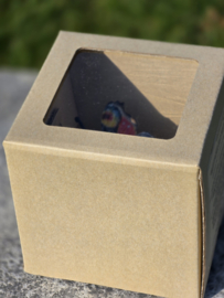 DAGPAUWOOG / VLINDER