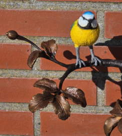 TAK MET PIMPELMEES EN KOOLMEES