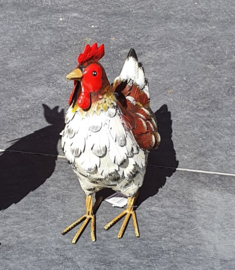 HEN