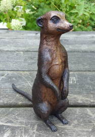 STOKSTAARTJE / ZITTEND