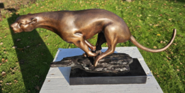 JACHTLUIPAARD / CHEETAH