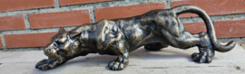 PANTER