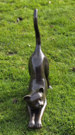 GROTE STREKKENDE POES