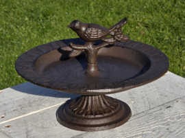VOGELBAD OP VOET
