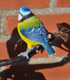 TAK MET PIMPELMEES EN KOOLMEES