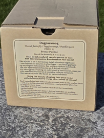 DAGPAUWOOG / VLINDER